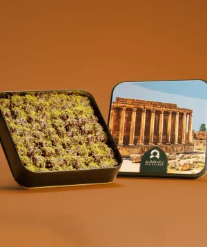 بيتفور شوكلاته صغير